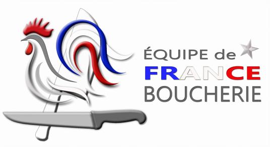 Logo EdF + étoile